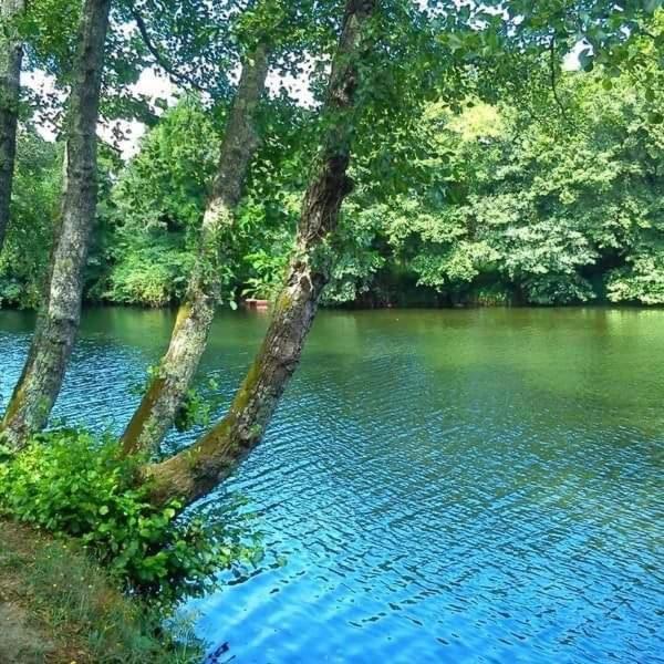 Entrevillas Alojamento Local, Apartamento T2 Arcos de Valdevez Zewnętrze zdjęcie